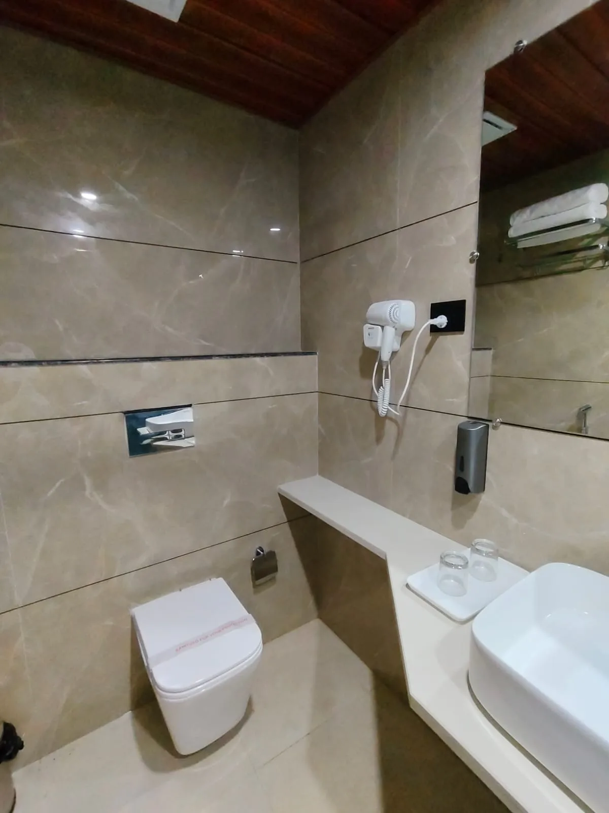 Luxury Family Room with Balcony - Washroom